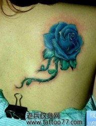 美女背部唯美艳丽的玫瑰花纹身图片