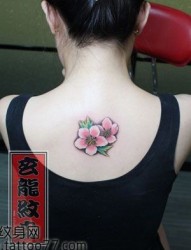 美女背部彩色桃花纹身图片