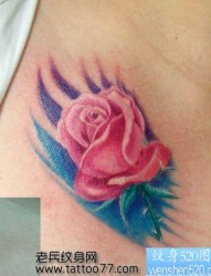 美女胸部好看的彩色玫瑰花纹身图片
