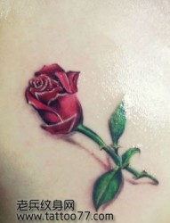 背部鲜艳的玫瑰花纹身图片