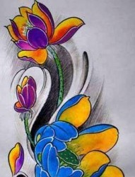 艳丽的彩色莲花纹身图片