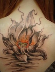 花卉纹身图片：背部莲花纹身图案