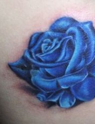玫瑰纹身图片：背部彩色蓝玫瑰纹身图案