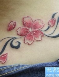 花草纹身图片：彩色樱花藤蔓纹身图案