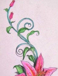 花卉纹身图片：彩色百合花纹身图案