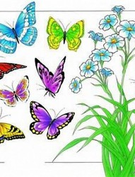 蝴蝶纹身图片：彩色正面蝴蝶纹身图片图案