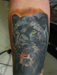动物纹身图片：腿部豹子黑豹纹身图案