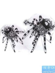 动物纹身图片―蜘蛛纹身图片―黑寡妇