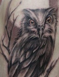 动物纹身图片：手臂猫头鹰纹身图案