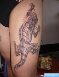 纹身图片：男生纹身图片―蜥蜴纹身图片（精品）