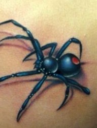 蜘蛛纹身图片：另类经典背部彩色蜘蛛纹身图案