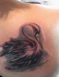 天鹅纹身图片：肩部彩色小天鹅纹身图案