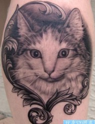 可爱的素描猫咪纹身图片图案
