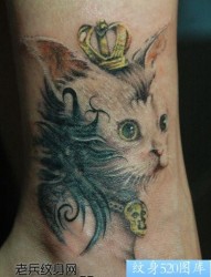 腿部可爱的猫咪纹身图片