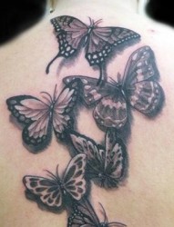 背部纹身图片：后背蝴蝶纹身图片图案