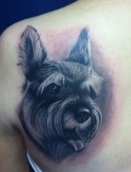 动物纹身图片：肩部小狗肖像纹身图案