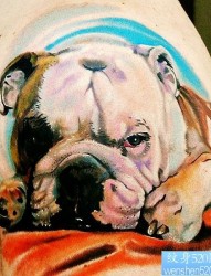动物纹身图片：手臂3D彩色哈巴狗纹身图案