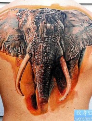 动物纹身图片：背部3D彩色大象纹身图案