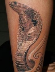 腿部3D蛇纹身图片图案