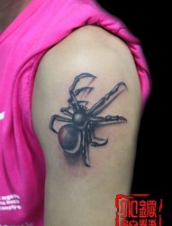 一张女孩子手臂蜘蛛纹身图片