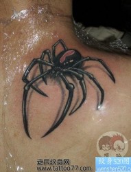 流行另类的背部蜘蛛纹身图片