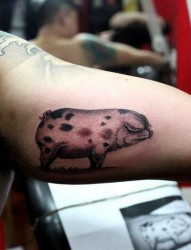 一张另类的手臂猪纹身图片