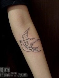 手臂精美流行的燕子纹身图片