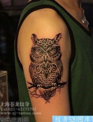 手臂经典帅气的猫头鹰纹身图片