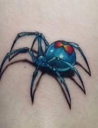 腿部好看的彩色蜘蛛纹身图片