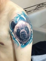 手臂国宝大熊猫纹身图片