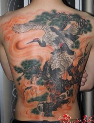 好看的满背白鹤仙鹤纹身图片