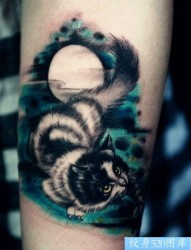 流行可爱的小猫咪纹身图片