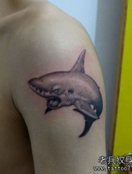 手臂一张帅气的鲨鱼纹身图片