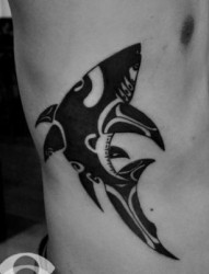 侧胸图腾鲨鱼纹身图片