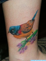 腿部一张彩色的小鸟喜鹊纹身图片