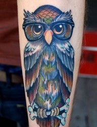 手臂欧美风格猫头鹰纹身图片一张
