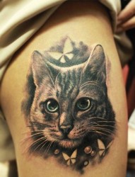女人腿部一张黑灰猫咪纹身图片
