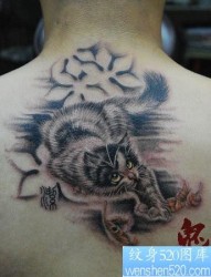 男孩子背部可爱的猫咪纹身图片