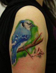 女孩子手臂一张彩色小鸟纹身图片