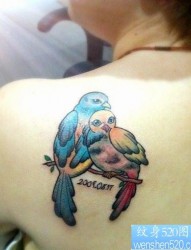 女人肩背彩色小鸟纹身图片