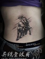 腰部凶悍的牛纹身图片