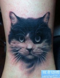 女人腿部写实猫咪纹身图片
