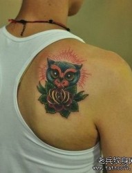 男性肩背一张猫头鹰纹身图片