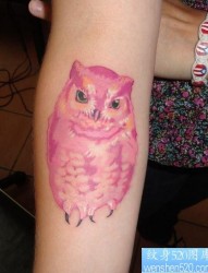 手臂一张彩色猫头鹰纹身图片