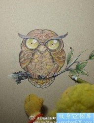 一张可爱的猫头鹰纹身手稿