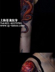 美女手臂经典的八爪鱼纹身图片