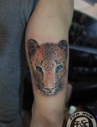 女人手臂好看的豹子纹身图片