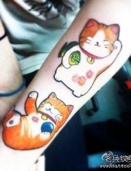 女人手臂可爱的猫咪纹身图片