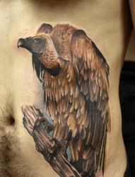 男生腹部一张经典的秃鹫纹身图片