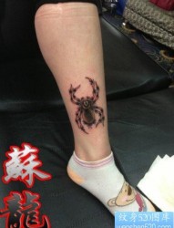 腿部精美流行的一张彩色蜘蛛纹身图片